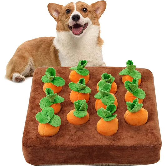 Carrot Quest: Scent-Sational Dog Toy Adventure